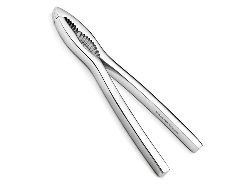 Casse-noix - Et Pâtes De Crabe - Déglon 1 Casse-noix - Et Pâtes De Crabe - Déglon