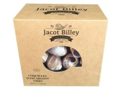 Coquilles D'escargots Lavées Et Triées - 60 Unités - Jacot Billey