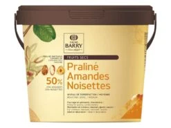 Praliné Amandes/noisettes 50% - 1 Kg - Cacao Barry